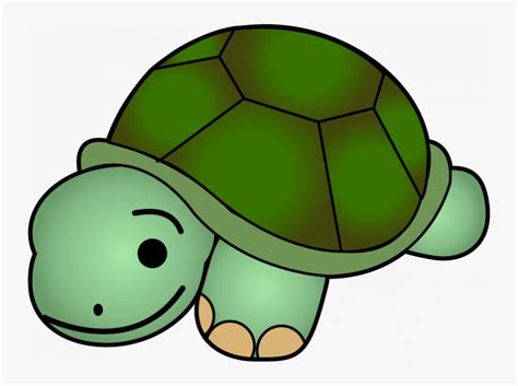 Cute Tortoise Panda Free Clip Art Images Of Animals Hd Png Download