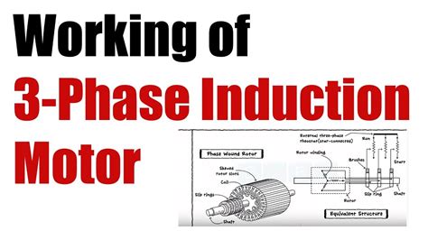 Explain Construction And Working Principle Of Three Phase Induction