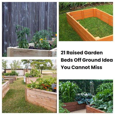 21 Raised Garden Beds Off Ground Ideas You Cannot Miss Sharonsable