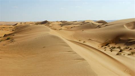 El Sáhara El Desierto Cálido Más Grande Del Mundo