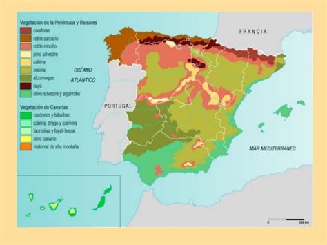 Las Regiones Biogeográficas De España Tema 7 De Geografia De 2º Bach