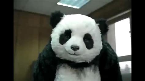 Never Say No To Panda Compilation Youtube
