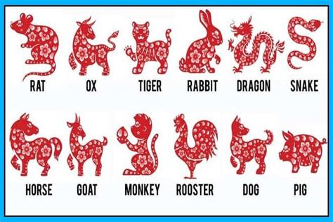 In chinese zodiac, a person under different zodiac signs has certain personality characteristics corresponding to that animal. Chinese Zodiac ,What is Chinese Zodiac? , Chinese Zodiac ...