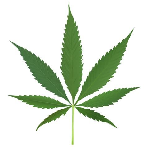 Weed Filter - For Facebook profile pictures, Twitter profile pictures, Youtube profile pictures ...