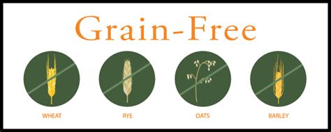 Check spelling or type a new query. Grain or Grain Free Dog Food, Petcurean Has Your Choice