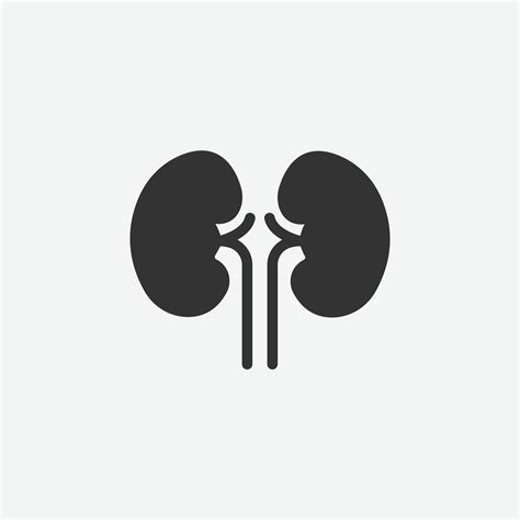 Kidney Icon Vector Art Icons And Graphics For Free Download