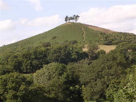 Dorset Photo Gallery Colmers Hill Symondsbury Trees Planted During Wwl