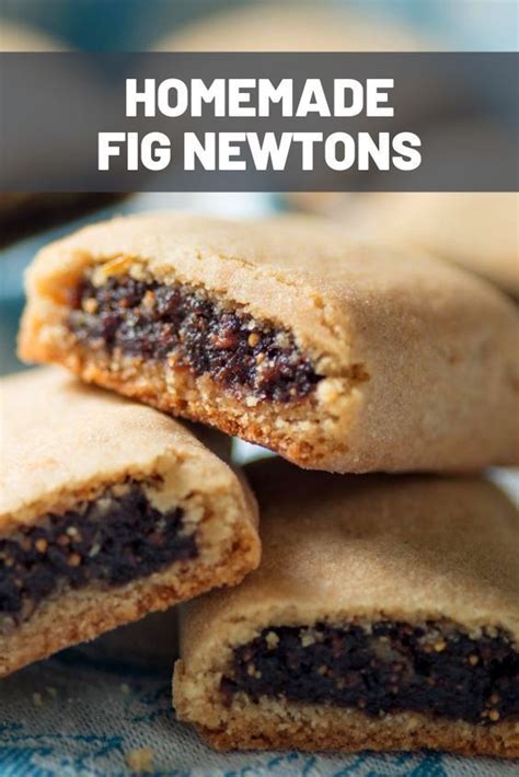 Homemade Fig Newtons Homemade Fig Newtons Fig Recipes Dessert Fig Recipes