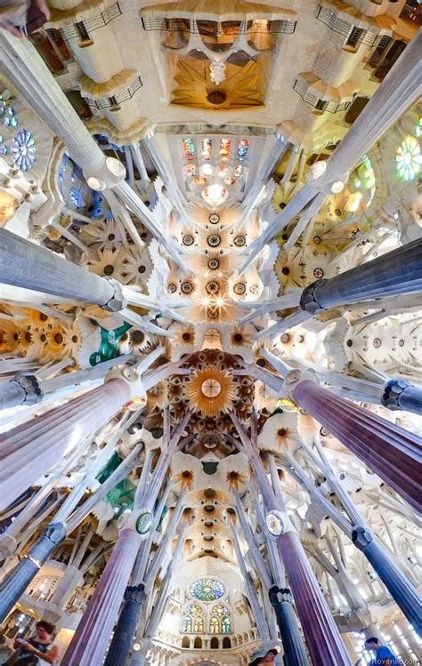 Gaudí Designed The Ceiling And Pillars Of The Sagrada Familia In