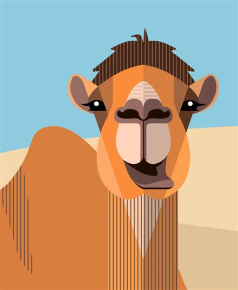 Get up to 15% off on handy camel products at walmart. Best Camel Face Illustrations, Royalty-Free Vector ...