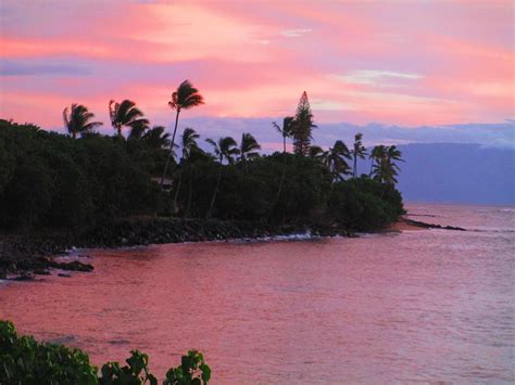 Pink Paradise Maui Photograph By Elaine Haakenson