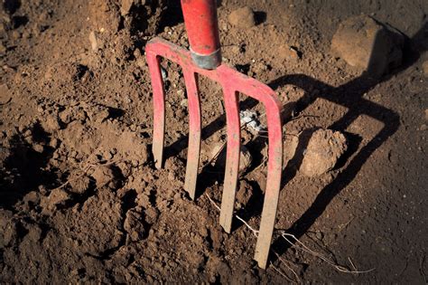 In fact, it's the first thing that you and your guests will observe when entering the house so you need to keep it charming and manicured. Using A Digging Fork - Learn When To Use Digging Forks In ...