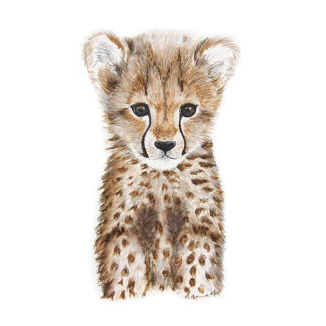 Baby Cheetah Portrait Baby Cheetahs Cheetahs And Portraits