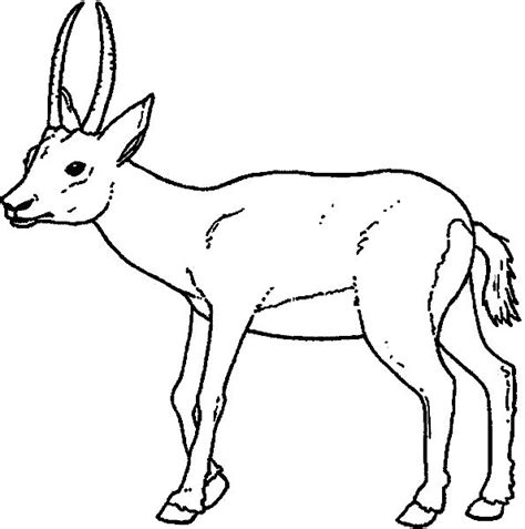 3rd Grade Coloring Pages | Free download on ClipArtMag