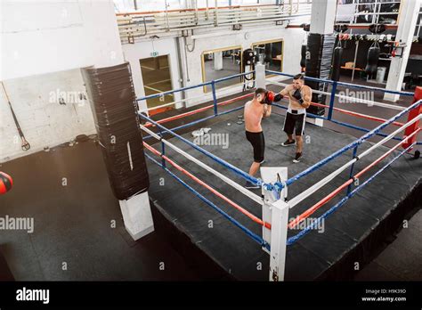 Two Boxers Fighting In Boxing Ring Stock Photo Alamy