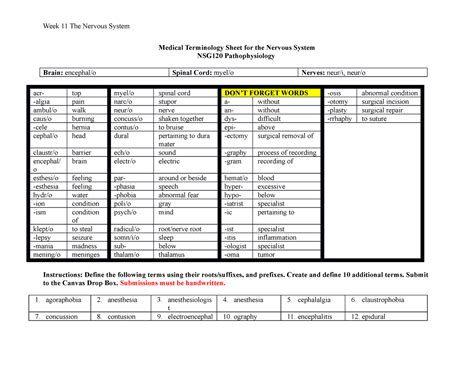 Module Medical Terminology Sheet For Nervous System Week