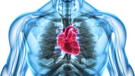 What Is Structural Heart Disease