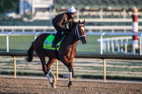 Kentucky Derby 2023 Horse Verifying Trainer Jockey Owners And More