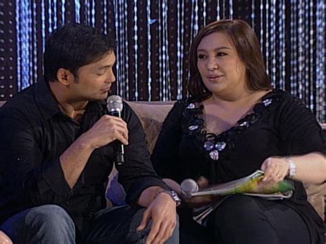 Sharon Cuneta And Gabby Concepcion Project Postponed