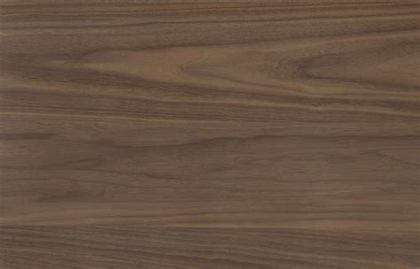 Walnut Veneer Texture