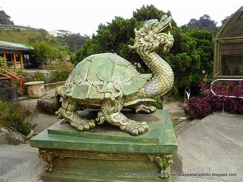 Giant Chinese Dragon Statues Dragon Tortoise Has The Head Of A Dragon