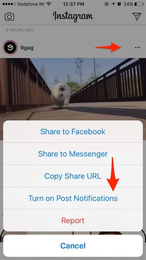 16 Best Instagram Tricks And Hidden Features You Must Know