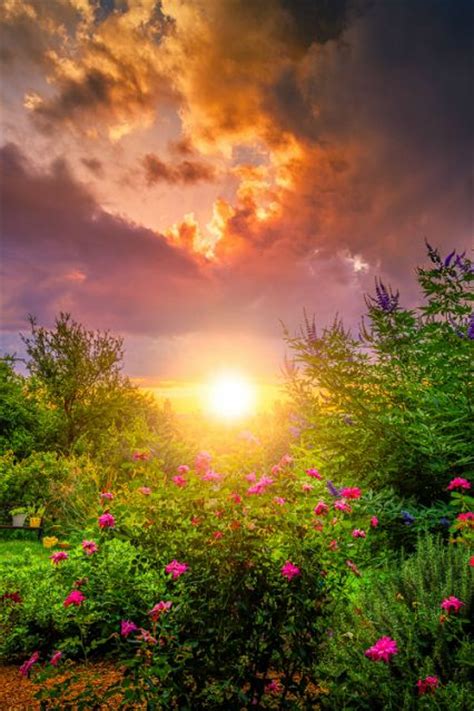 257 Best Sunrises Images On Pinterest Nature Res Life
