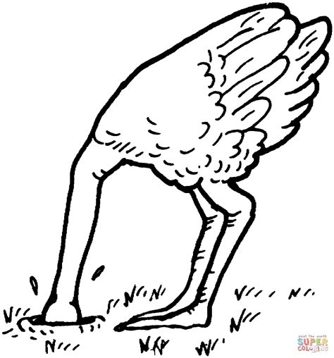 Ostrich Bury Head Sand Coloring Page Free Printable Coloring Pages