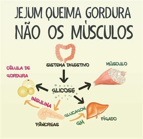 Benefícios do jejum intermitente na perda de peso e gordura da barriga 4. Jejum intermitente: o que é, como fazer e quais os ...