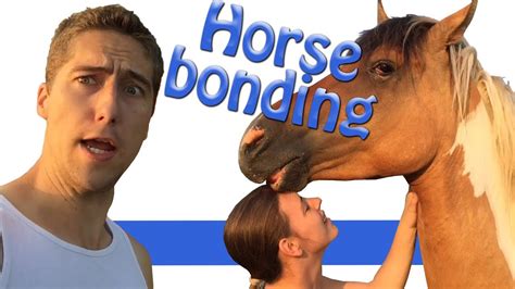 How To Bond With Your Horse Youtube
