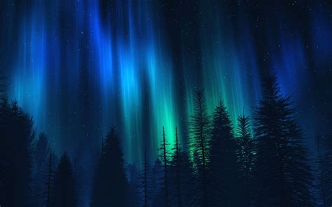 Free Download Northern Lights Over Fir Trees Widescreen Wallpaper 3416