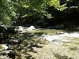 Taconic State Park Camping Reservations