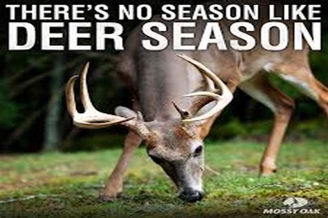 Thank God Its Deer Season