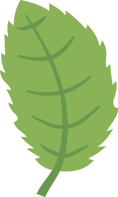 Leaf Png Graphic Clipart Design 19152817 Png