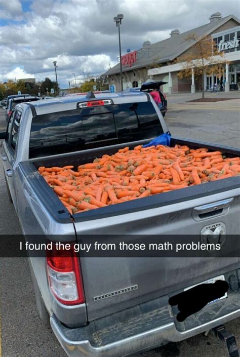 Steve Has 1000 Carrots And Needs To Odd Stuff Magazine