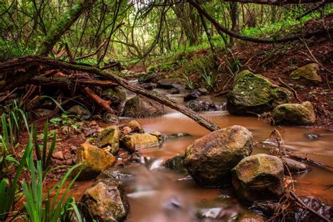 Stream Running Over Rocks In A Forrest Stock Image Image Of
