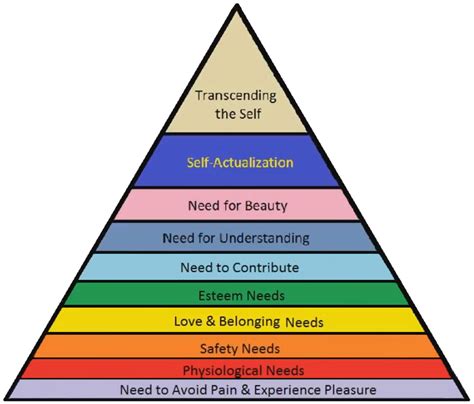 Such motivation drives an individual to perform an activity for. Maslow's Extended Hierarchy of Needs - Maximus Veritas