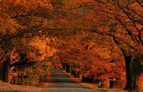 Vermont Autumn Wallpaper Wallpapersafari