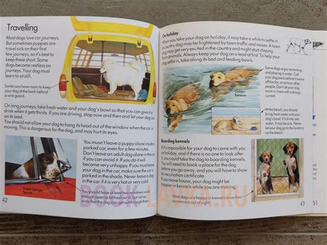 The Usborne First Book Of Pets And Pet Care купить в интернет