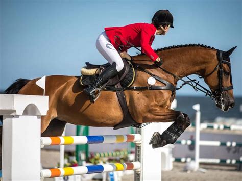 Top 6 Types Of Jumps In Horse Sports Competitions