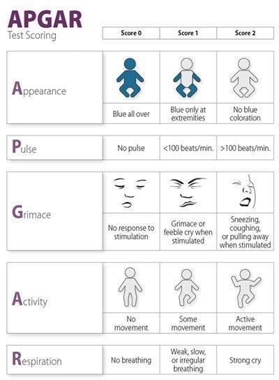 Quick And Dirty Guide To Apgar Tests And Scoring
