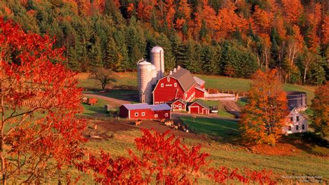 Download Northern Vermont In Autumn Wallpaper