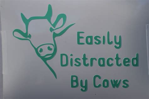 Easily Distracted by Cows decal | Etsy