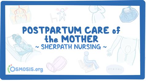 Nursing Care For The Postpartum Woman Osmosis Video Library