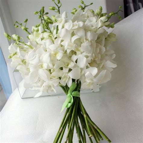 Più di 300 fiori e piante con foto e nome botanico. 1001 + idee di bouquet sposa per scegliere un elemento ...