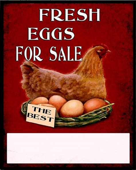 Fresh Eggs For Sale Sign Metal Wall Sign 11x16inches Plaque Vintage