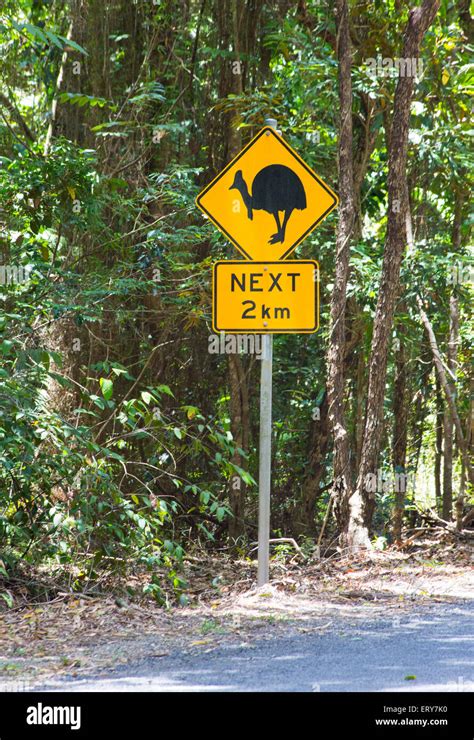 Cassowary Sign Rainforest Hi Res Stock Photography And Images Alamy