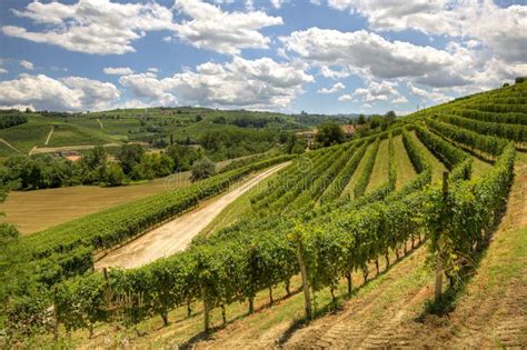 Hills And Vineyards Of Piedmont Italy Stock Image Image Of
