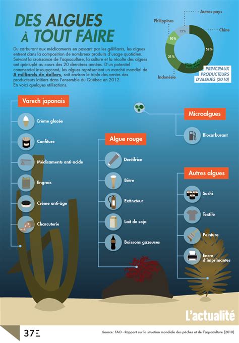Infographie Des Algues Tout Faire Lactualit