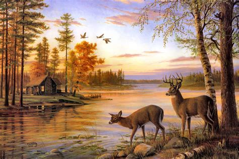Two Deer Drinking Water At Sunset